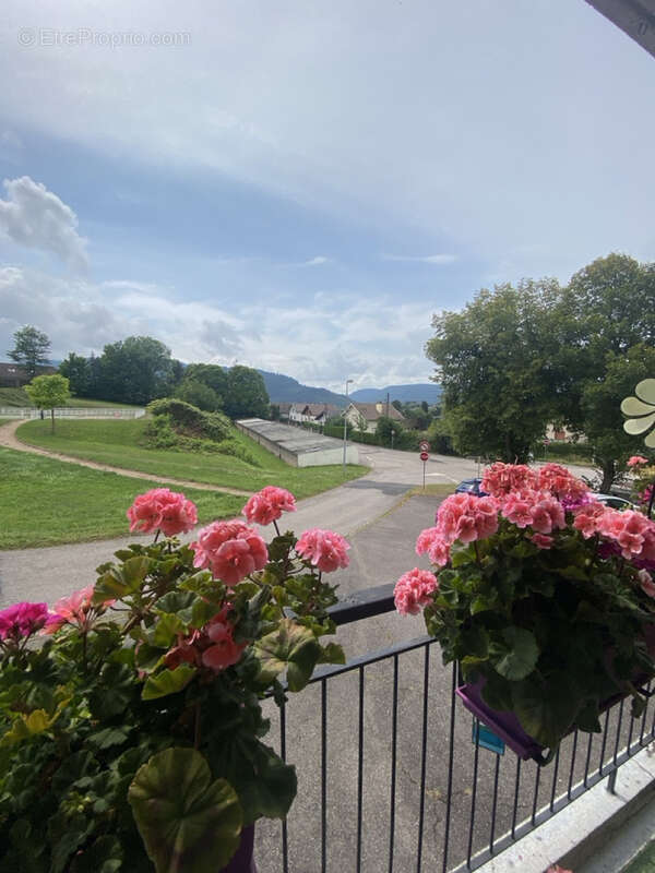 Appartement à SAINT-DIE-DES-VOSGES
