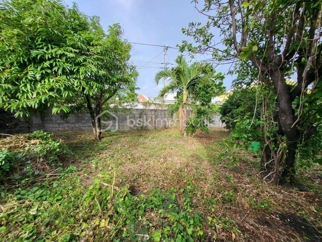 Terrain à SAINT-PIERRE