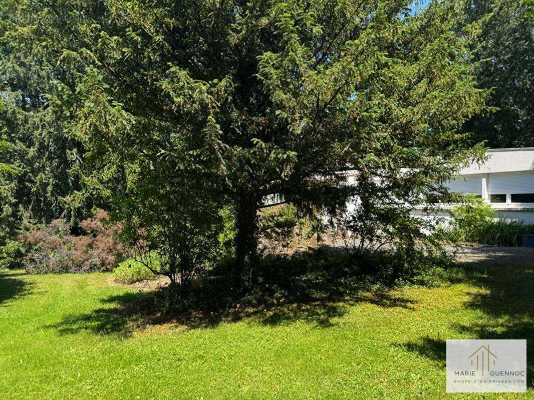 Maison à BASSE-GOULAINE