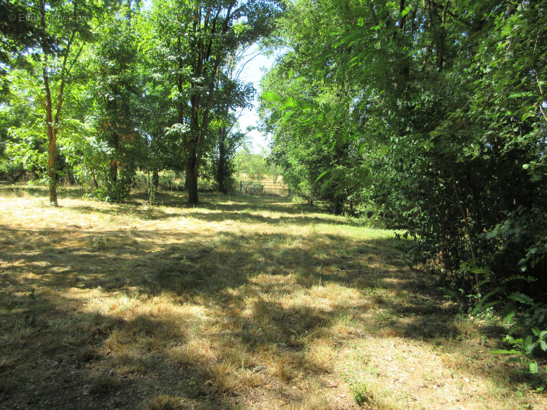 Maison à LE PONT-CHRETIEN-CHABENET