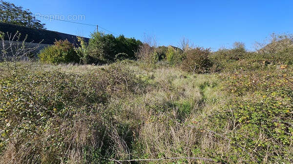 Terrain à VILLERMAIN