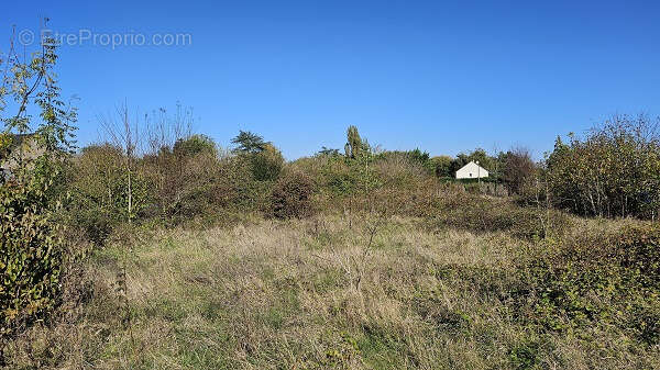 Terrain à VILLERMAIN