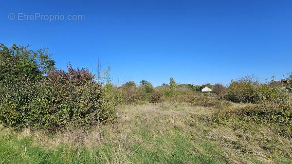 Terrain à VILLERMAIN