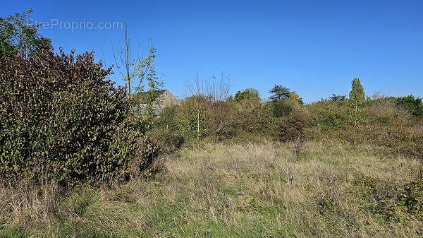 Terrain à VILLERMAIN