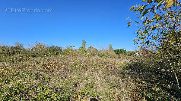 Terrain à VILLERMAIN