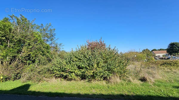 Terrain à VILLERMAIN