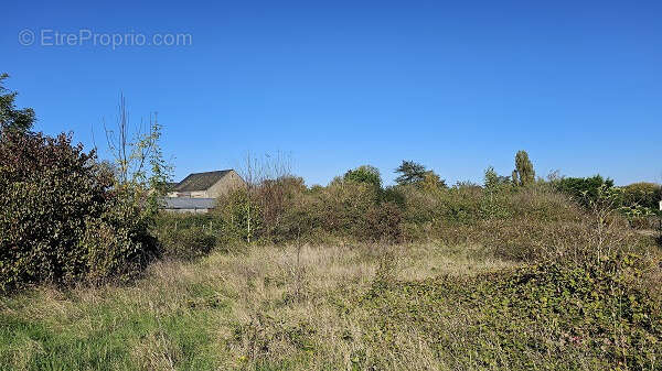 Terrain à VILLERMAIN