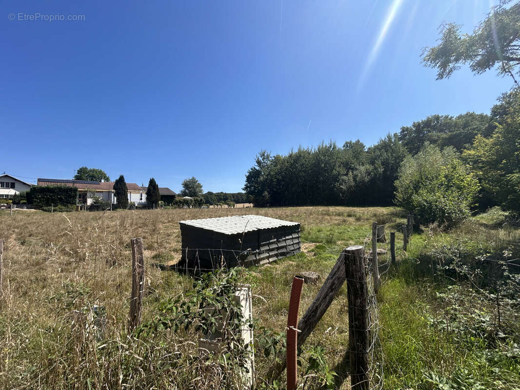 Terrain à MONTREUX-JEUNE