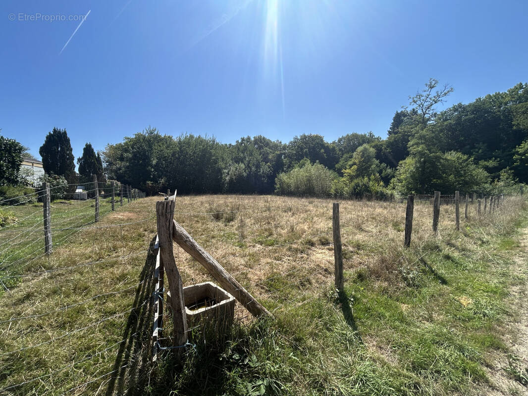 Terrain à MONTREUX-JEUNE