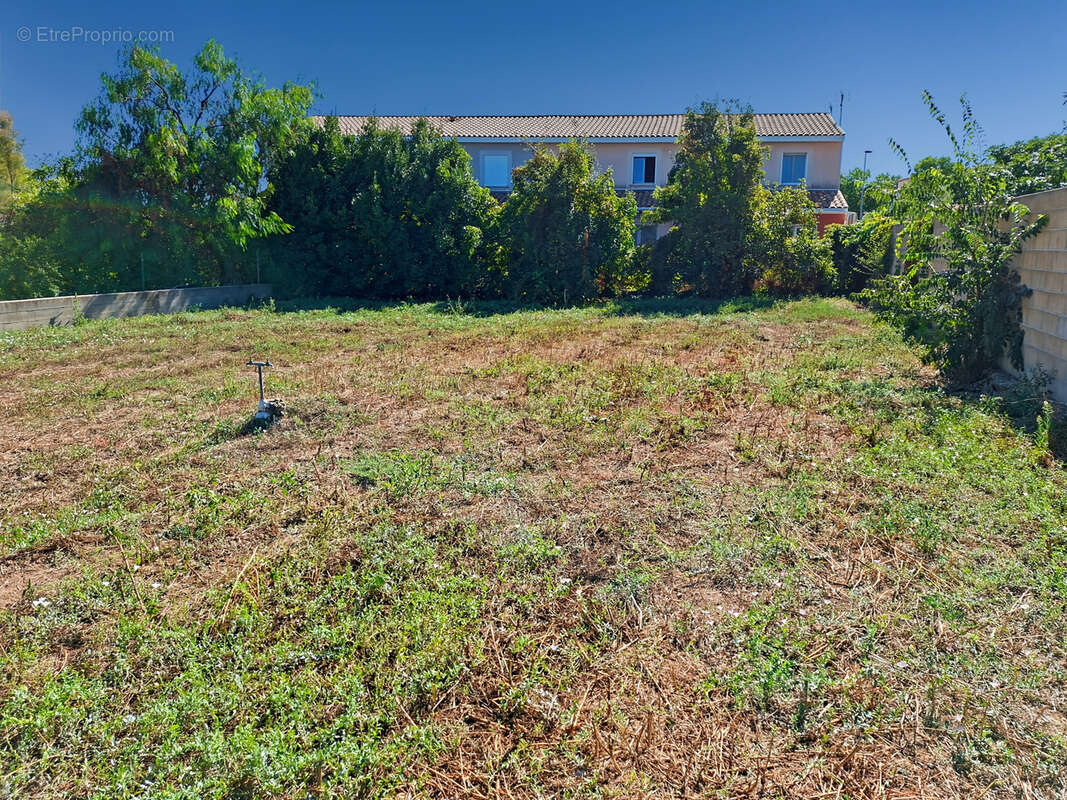 Terrain à CAZOULS-LES-BEZIERS