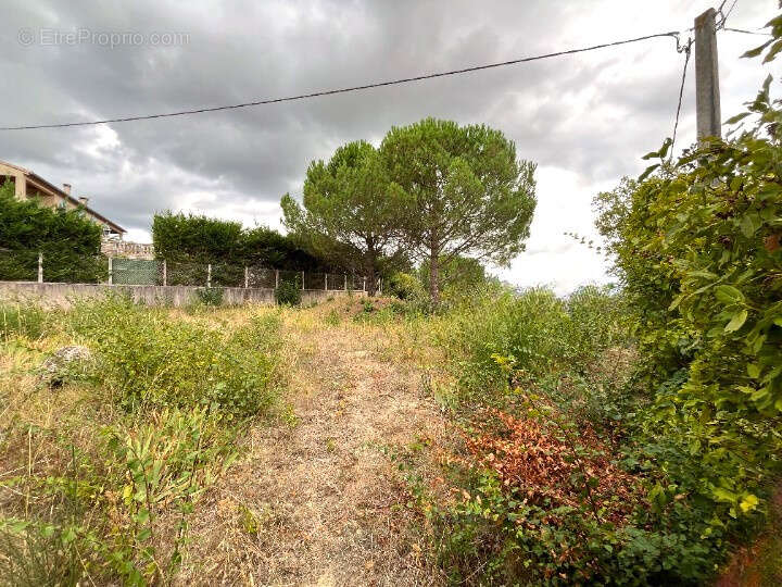 Terrain à CAILHAU