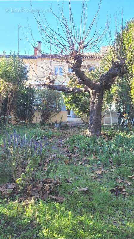 Maison à MONTPELLIER