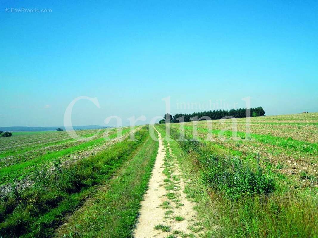 Appartement à BAILLY