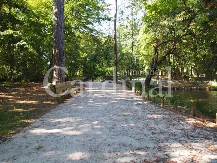 Appartement à BAILLY