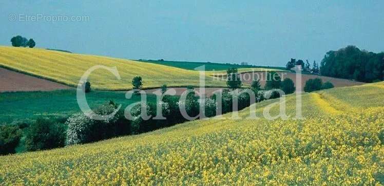 Appartement à BAILLY