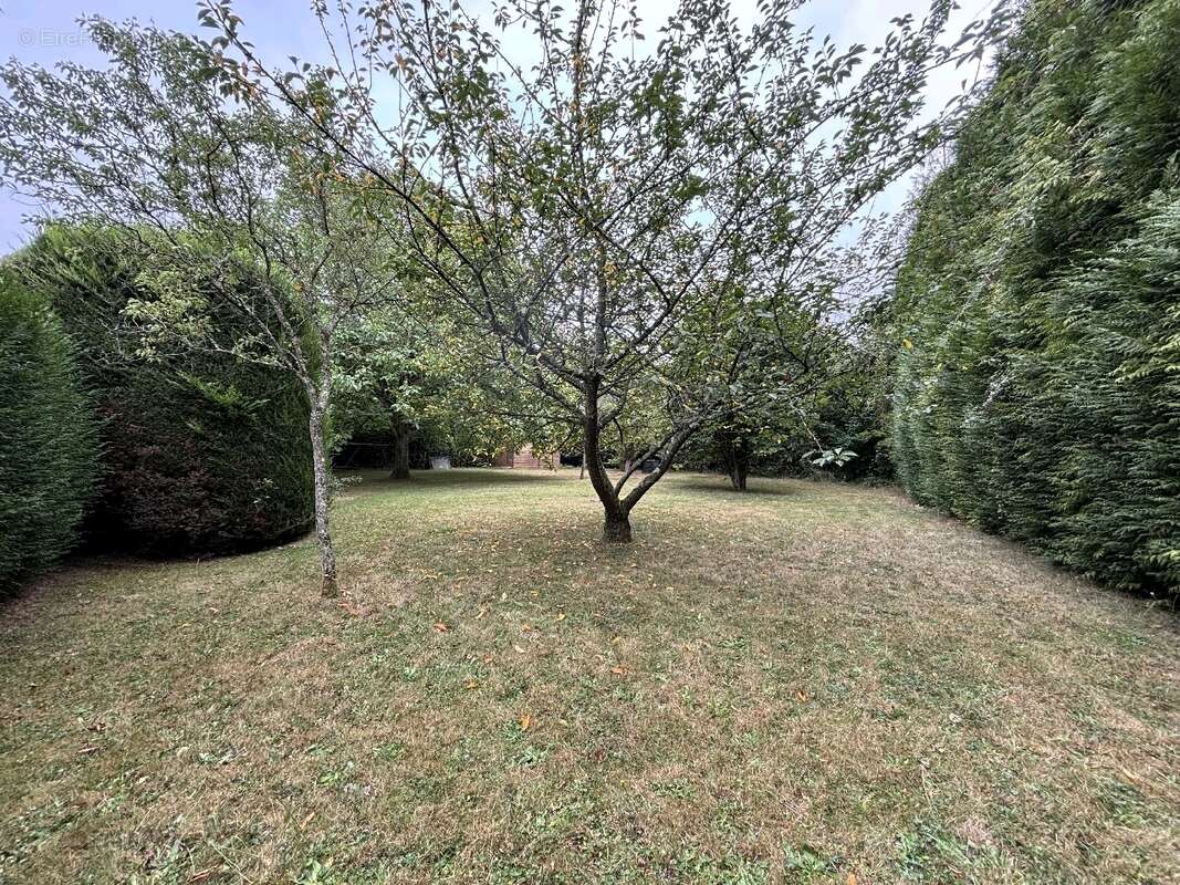 Terrain à SAINT-BERTHEVIN