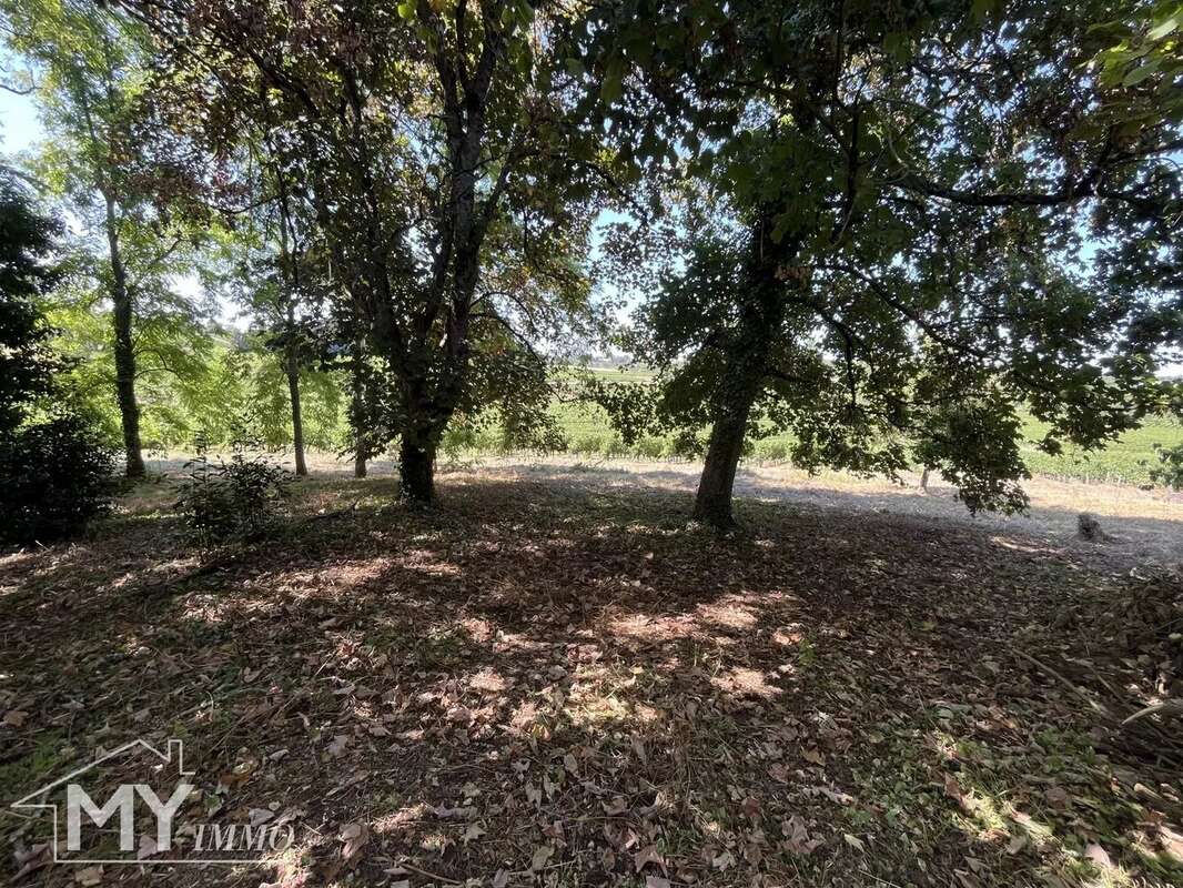 Maison à PUISSEGUIN