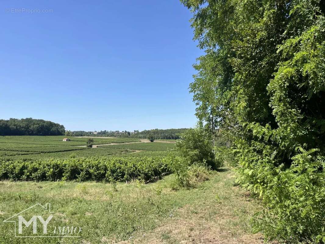 Maison à PUISSEGUIN