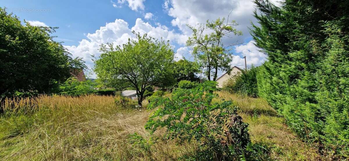 Terrain à CHAMPAGNE-SUR-SEINE