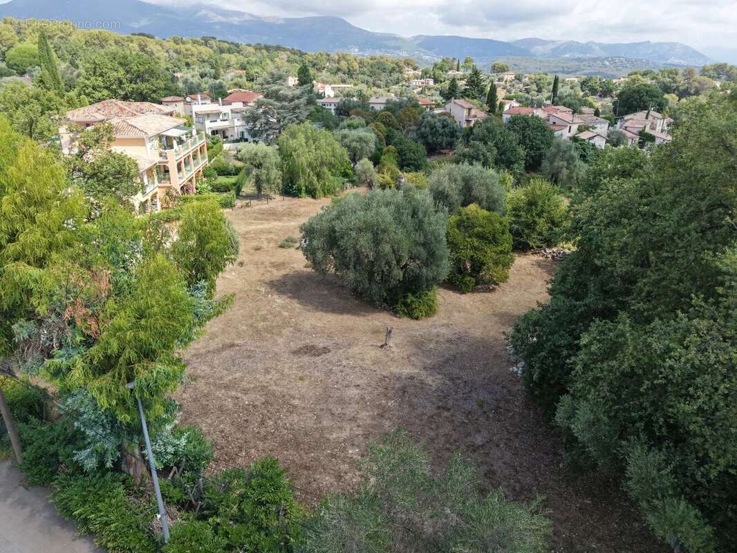 Terrain à ROQUEFORT-LES-PINS