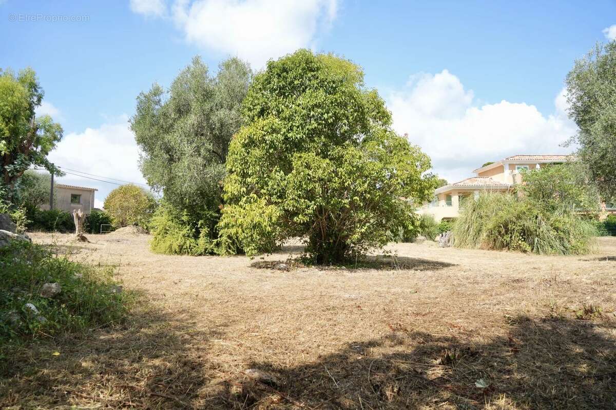 Terrain à ROQUEFORT-LES-PINS