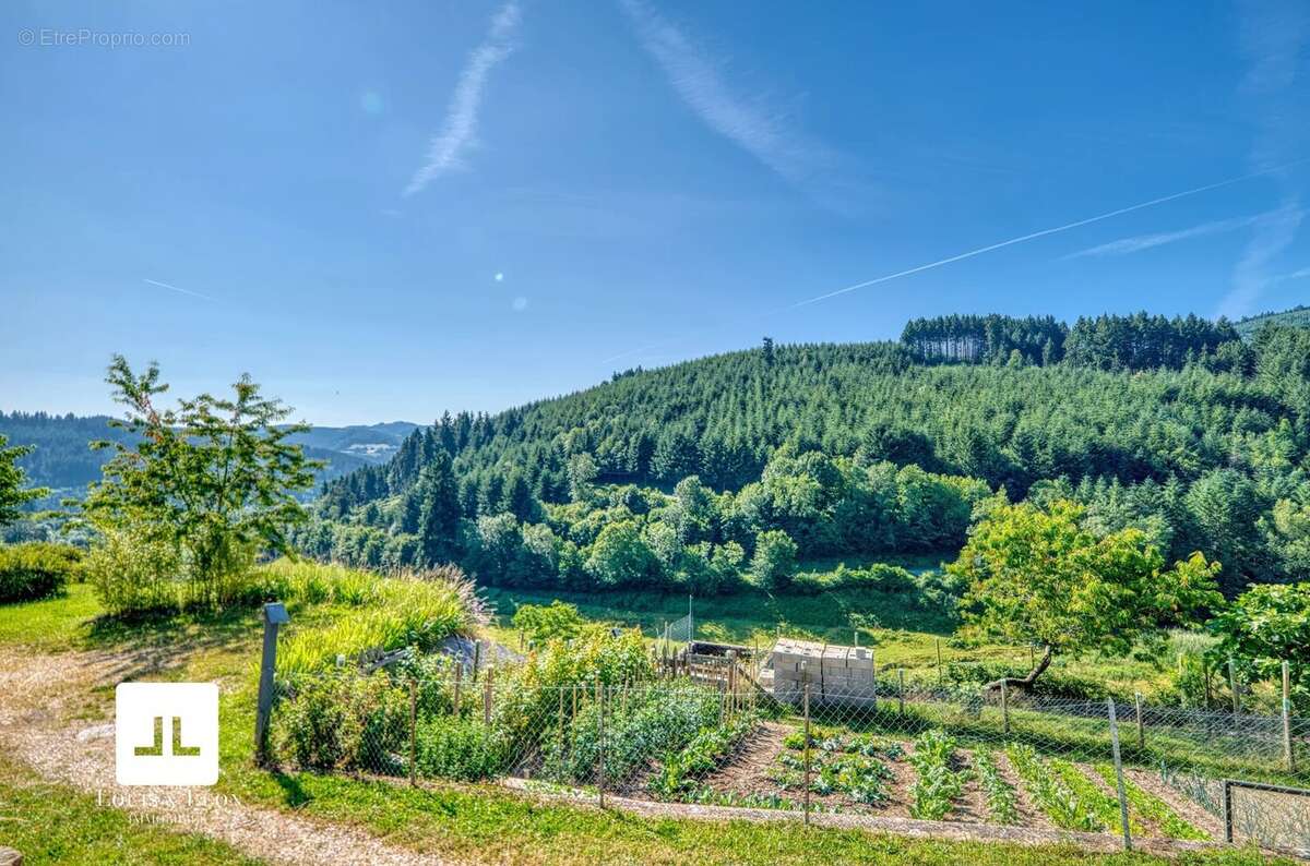Commerce à SAINT-NIZIER-D&#039;AZERGUES