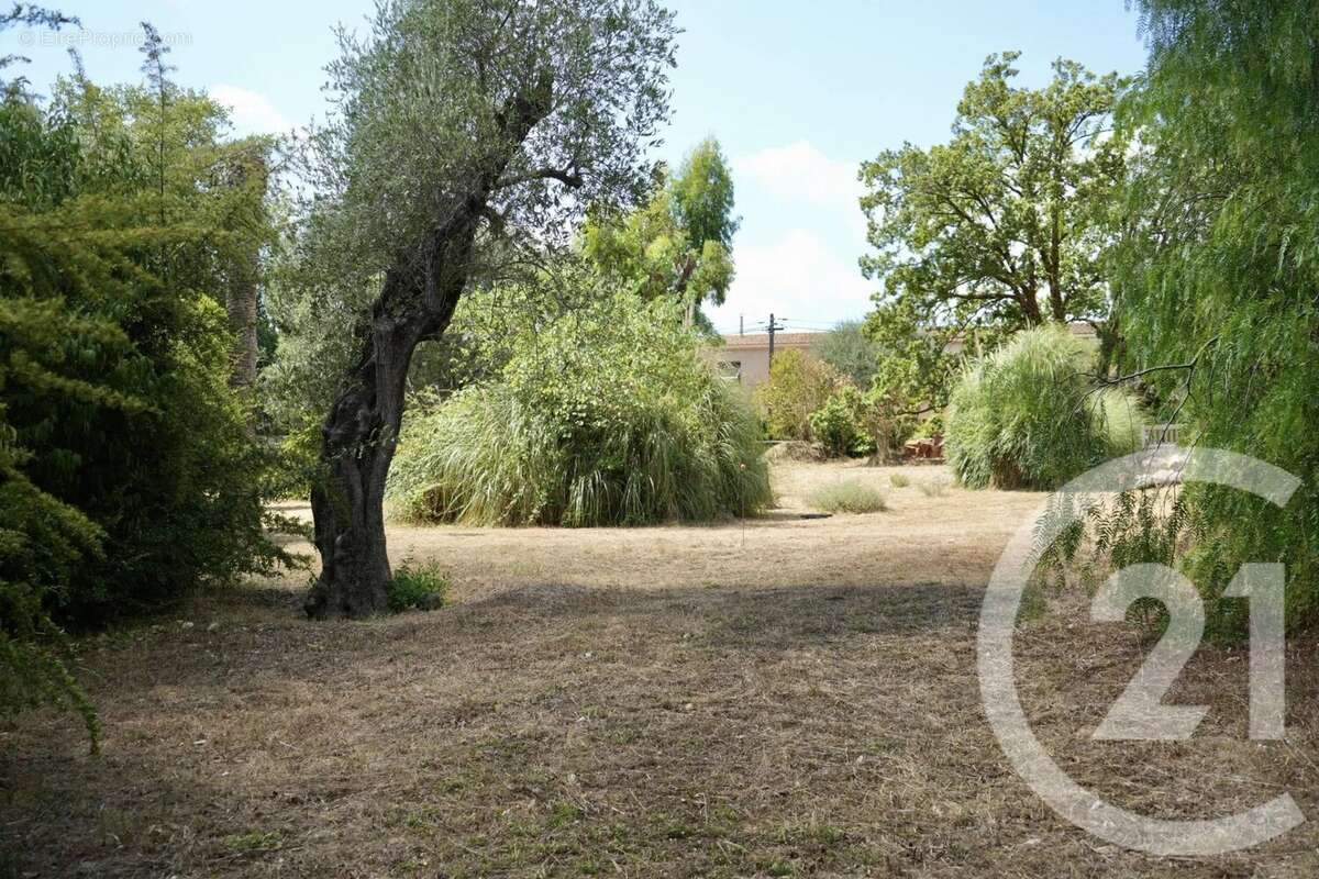 Terrain à ROQUEFORT-LES-PINS