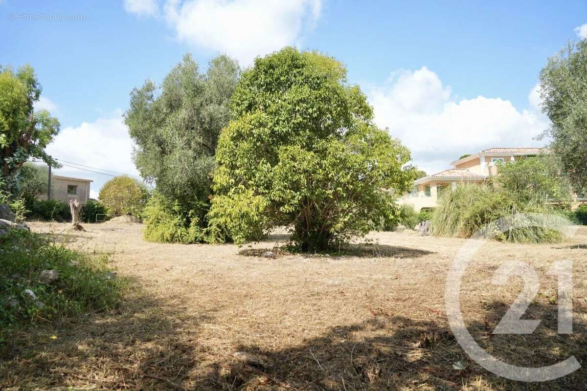 Terrain à ROQUEFORT-LES-PINS