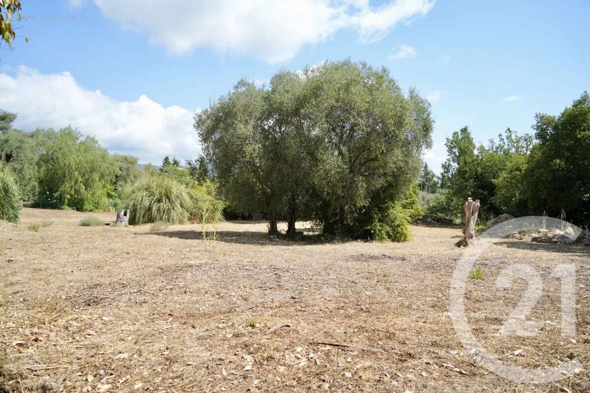 Terrain à ROQUEFORT-LES-PINS