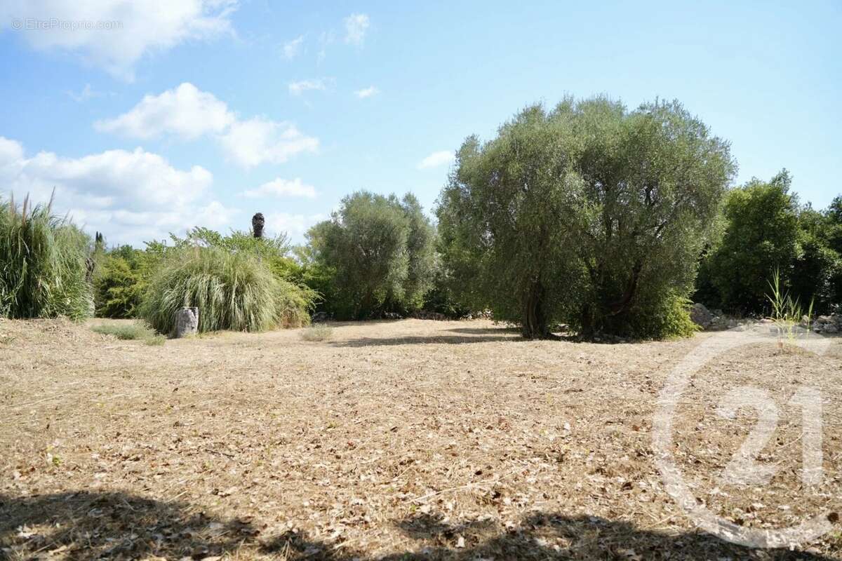 Terrain à ROQUEFORT-LES-PINS