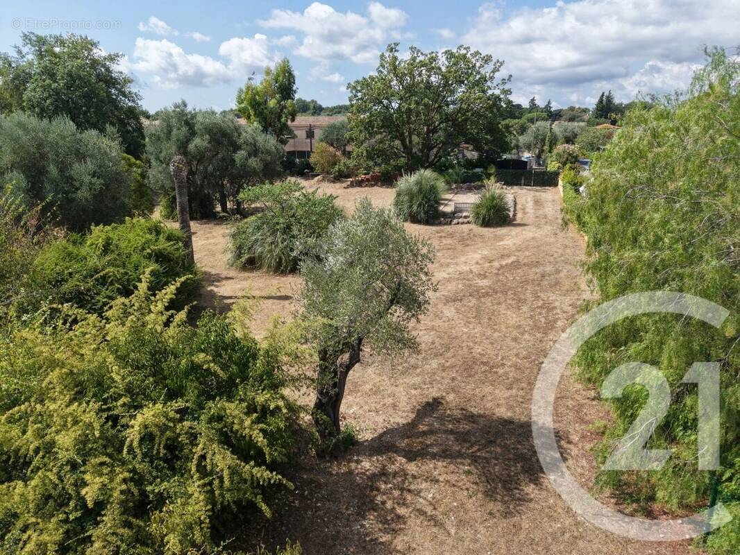 Terrain à ROQUEFORT-LES-PINS