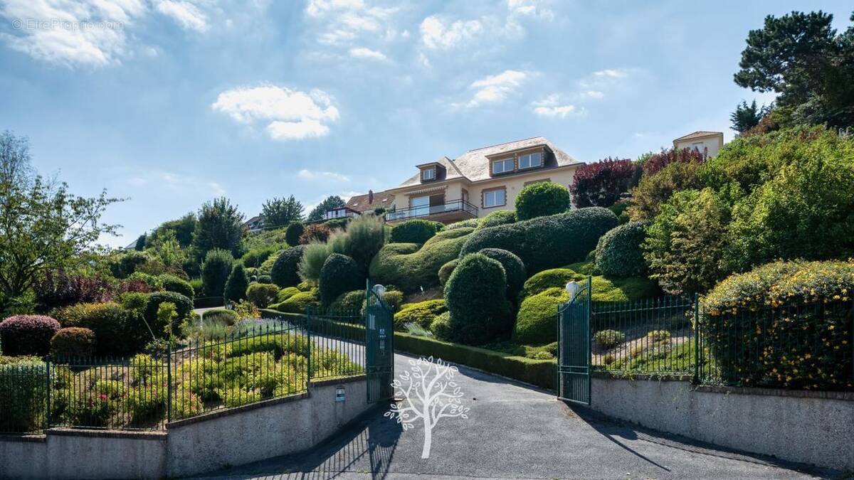 Maison à LE TREPORT