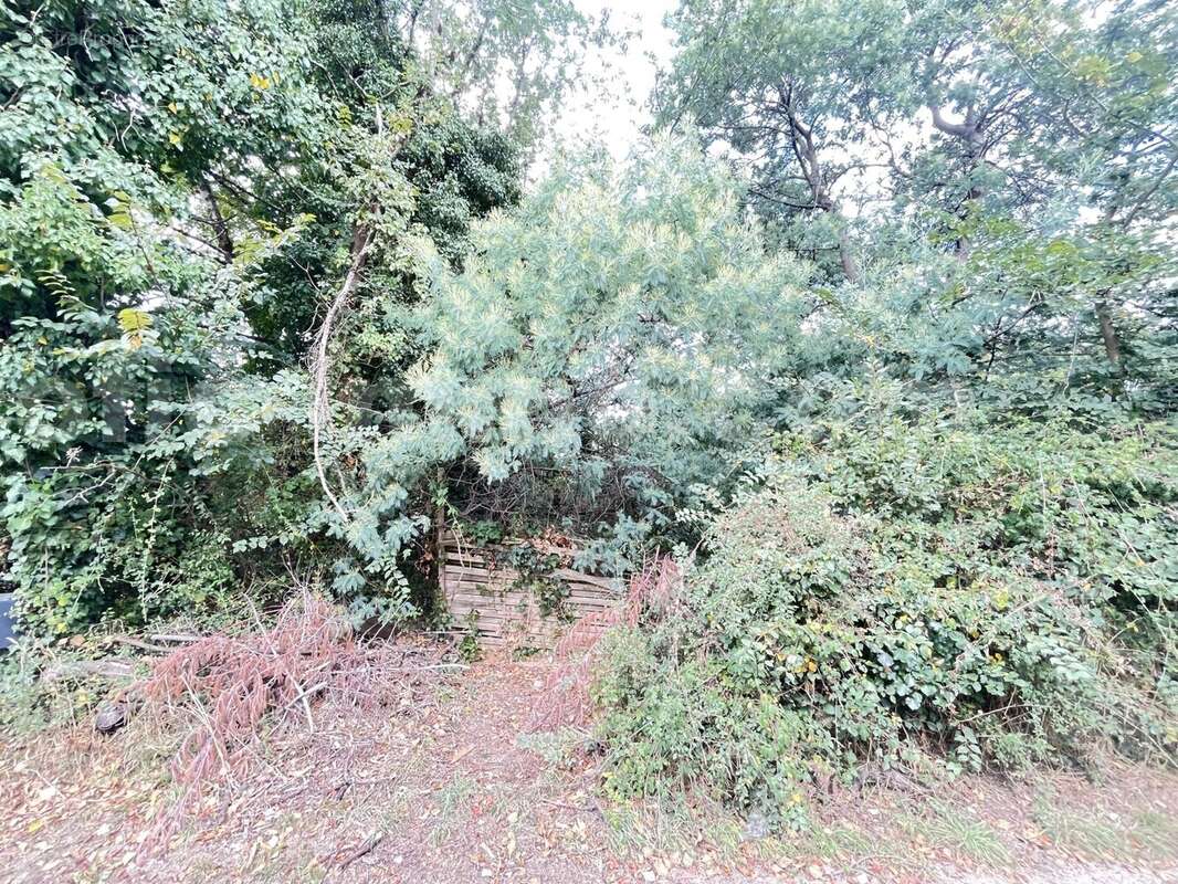 IMG_3653 - Terrain à LE HEZO