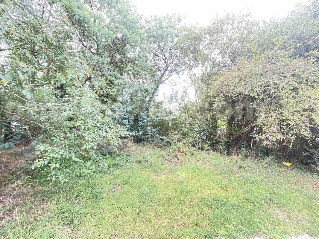 IMG_3655 - Terrain à LE HEZO