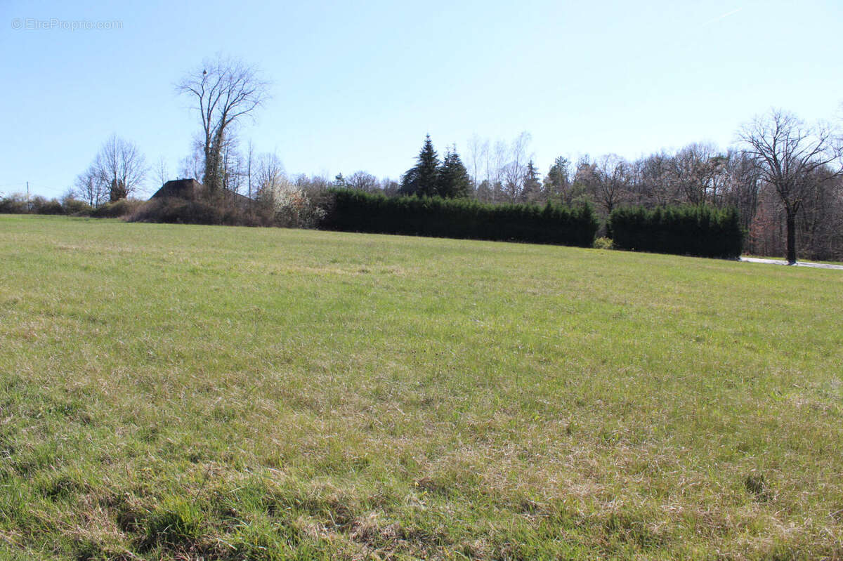 saint martial de valette - Terrain à SAINT-MARTIAL-DE-VALETTE