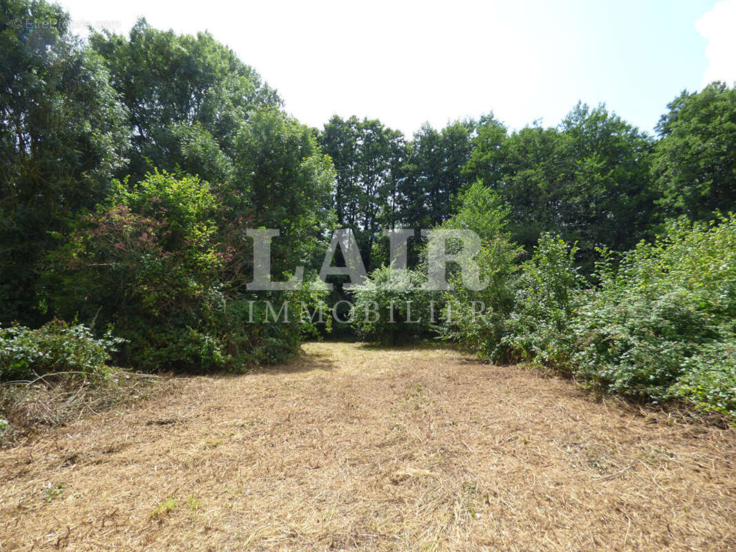 Maison à PRE-EN-PAIL