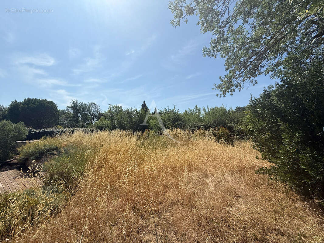 Maison à CARCASSONNE