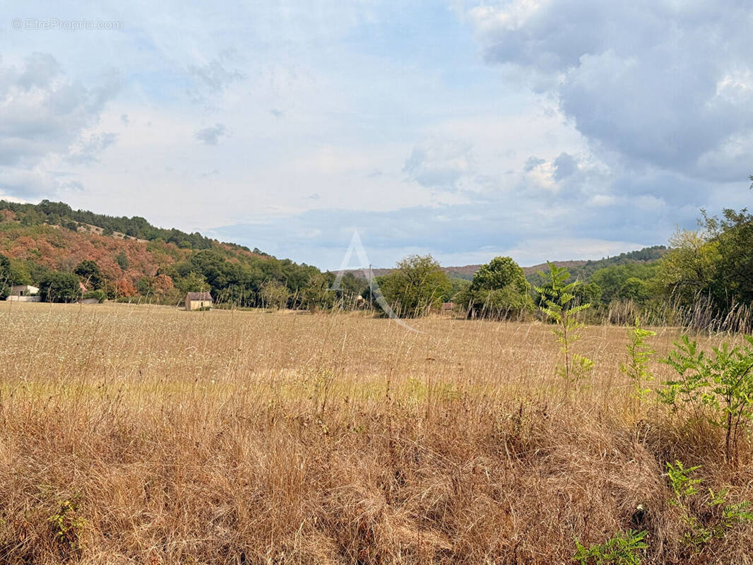Terrain à CASTELFRANC
