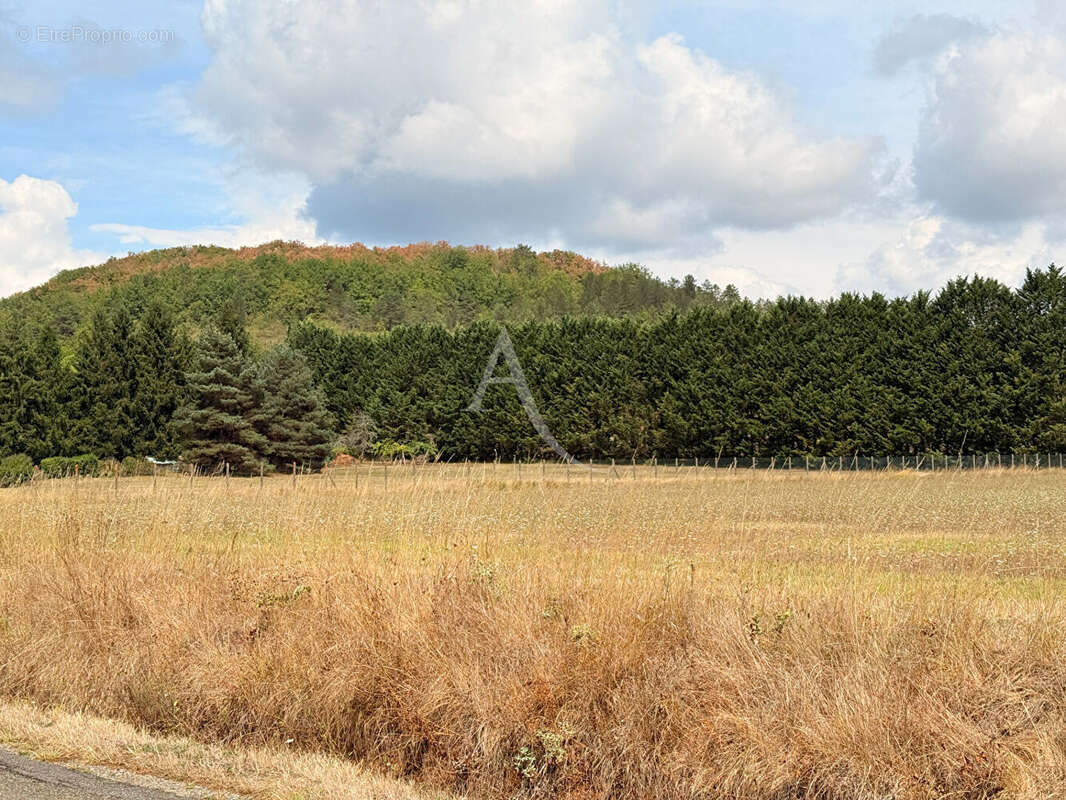 Terrain à CASTELFRANC