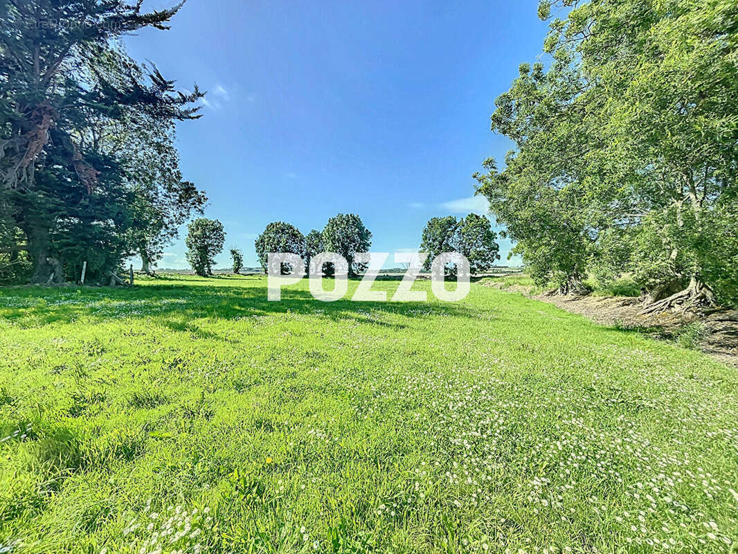 Maison à REGNEVILLE-SUR-MER