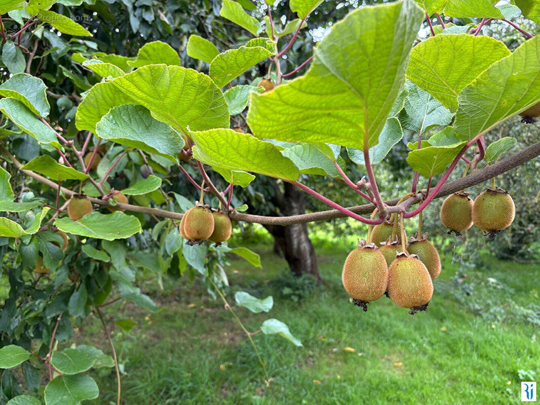 Appartement à MARTIGNY