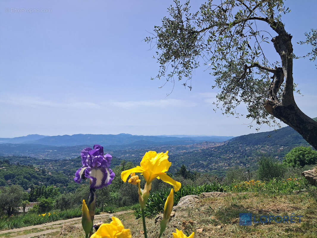 Maison à CHATEAUNEUF-GRASSE