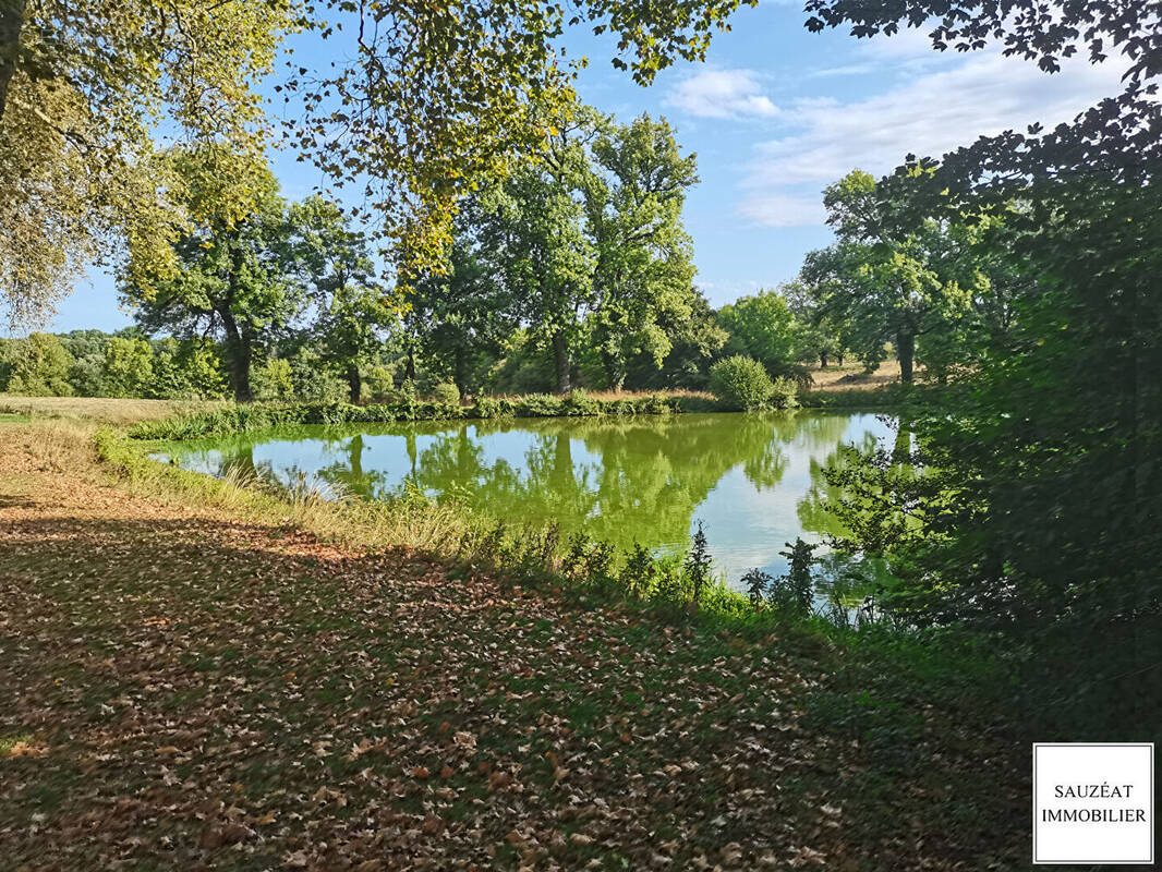 Terrain à MAGNAC-BOURG