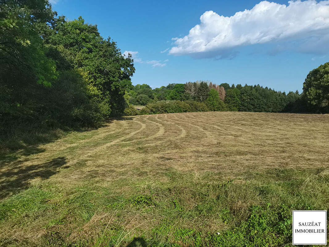 Terrain à MAGNAC-BOURG