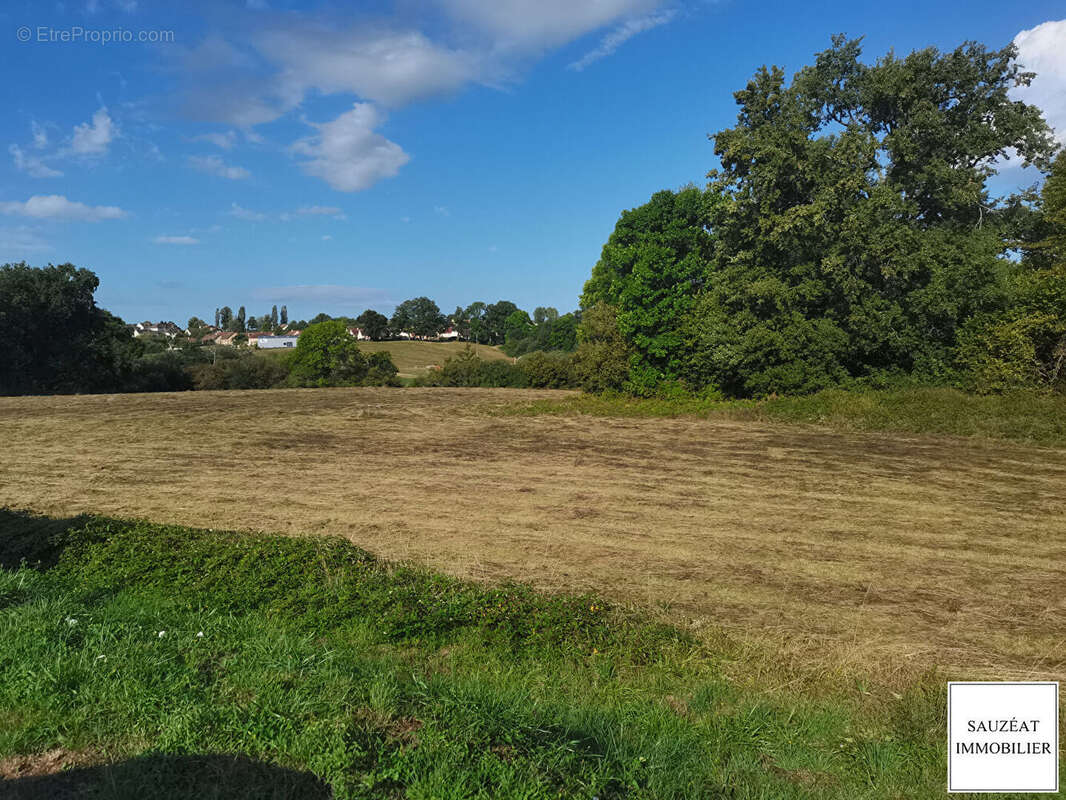 Terrain à MAGNAC-BOURG