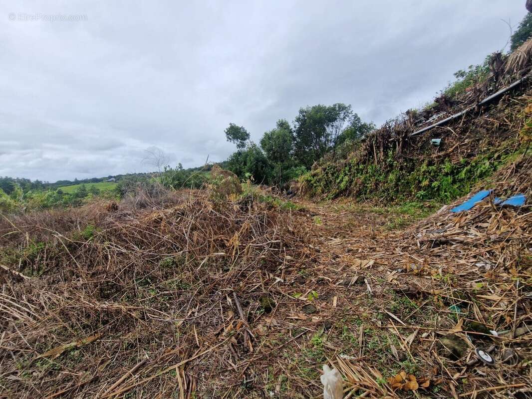 Terrain à SAINTE-MARIE
