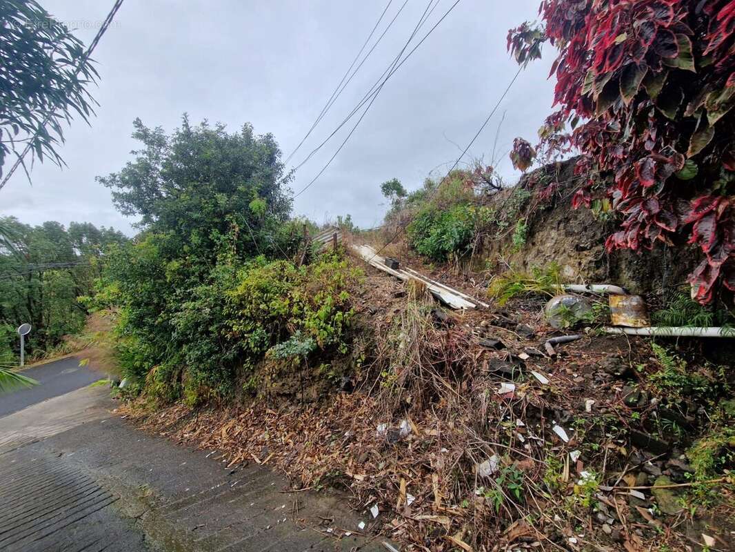 Terrain à SAINTE-MARIE