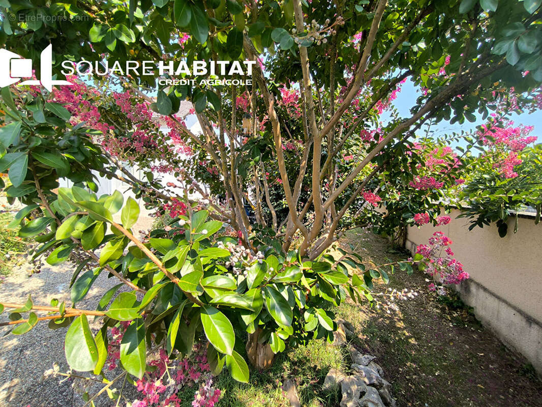 Maison à LA VILLE-AUX-DAMES