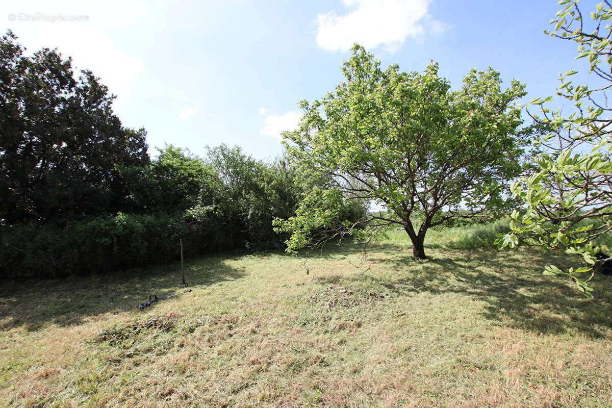 Maison à COULONGES-SUR-L&#039;AUTIZE
