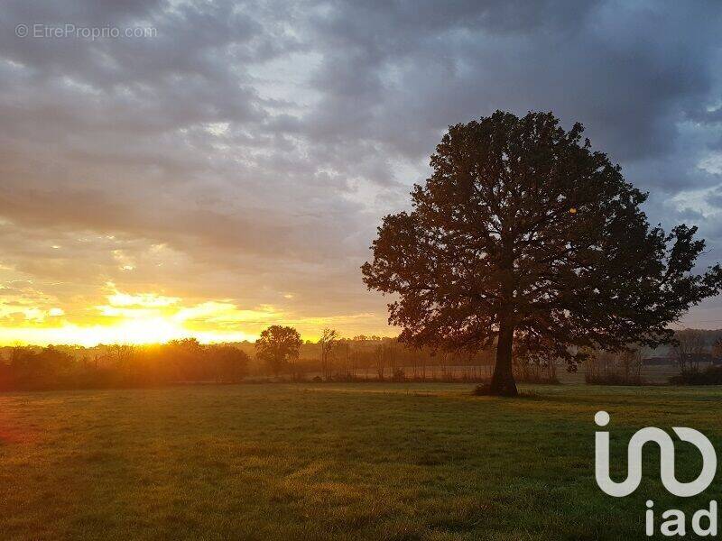 Photo 1 - Maison à ROUESSE-VASSE